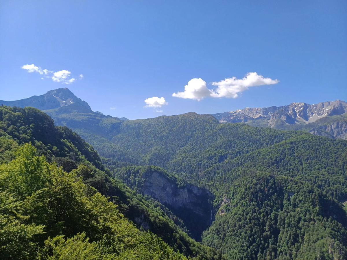Perucica Primeval Forest